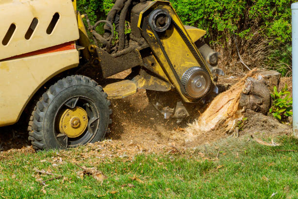 Soil Testing and Treatment in Maben, MS